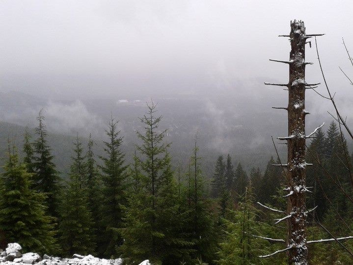 a view from the trail