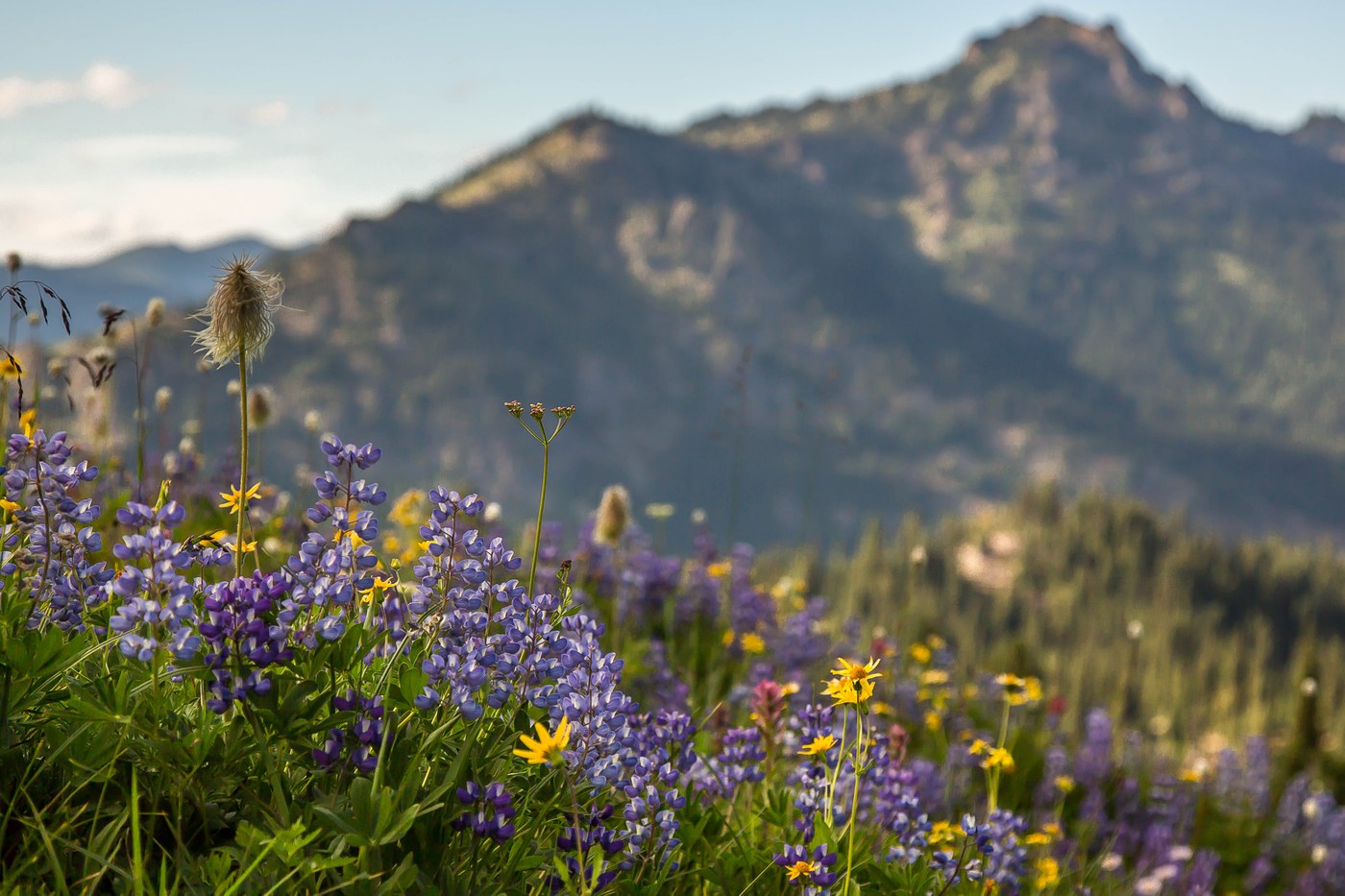 Dewey Lake trail (c) Chris Weber