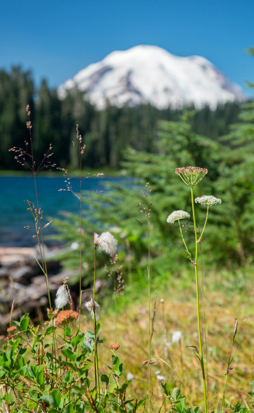 Mount Rainier from across Dewey Lake (c) Chris Weber
