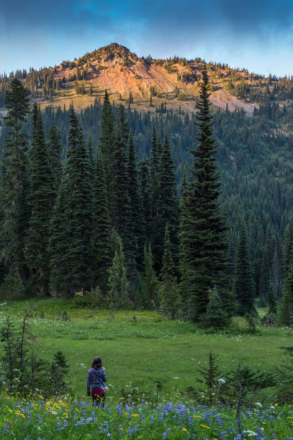 Ruby pondering the mountain top (c) Chris Weber