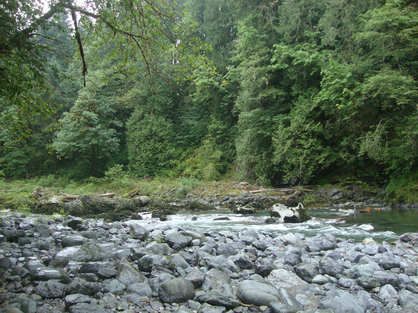 Downstream, near the turnaround point. Photo credit: shelby