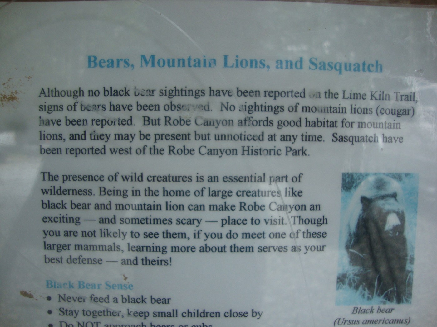 Sasquatch warning! Photo credit: shelby