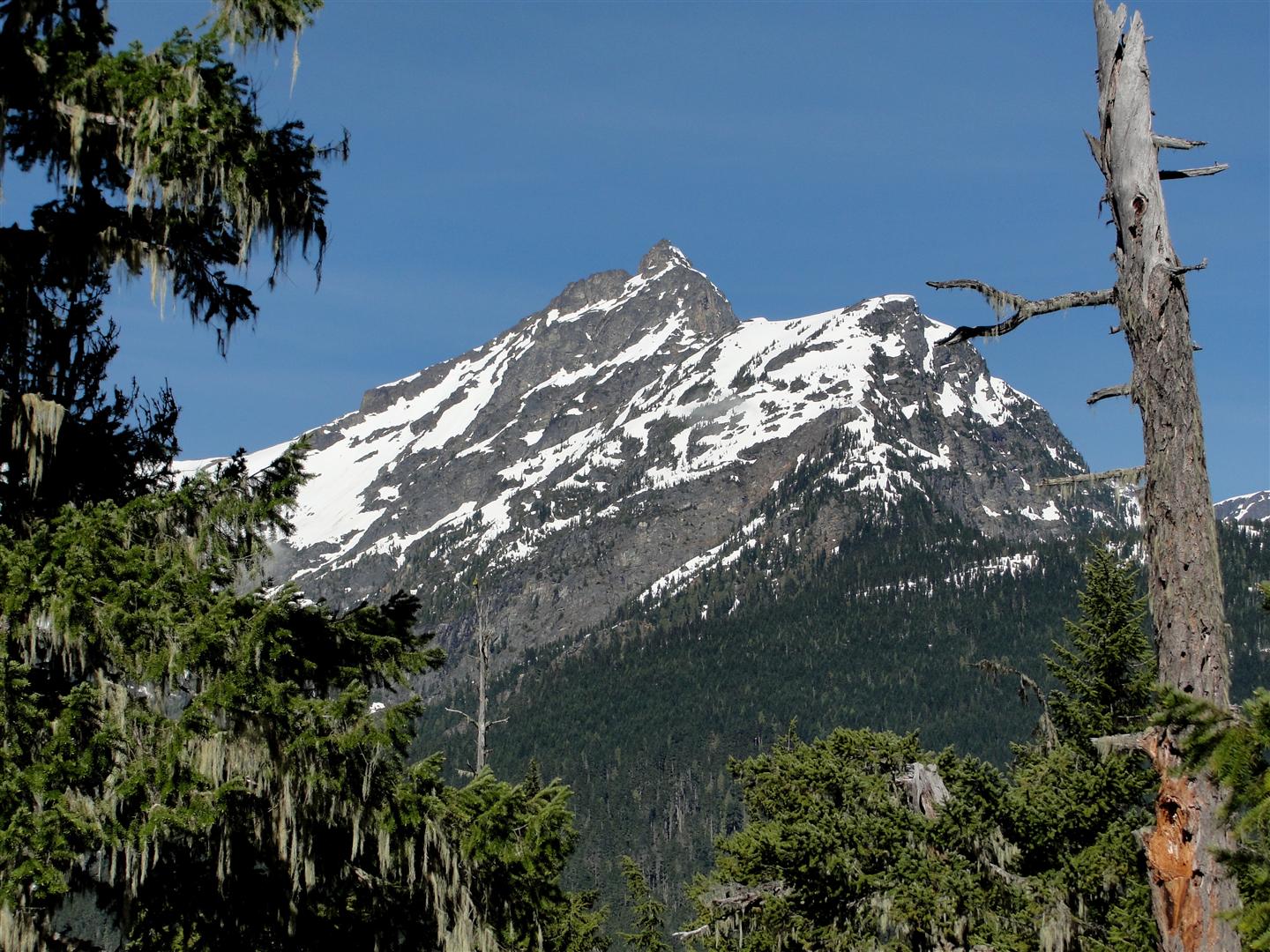 4th of july pass trail 4th of july pass trail