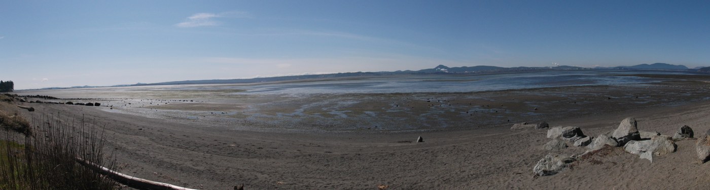 Panoramic View of Padilla Bay from Bay View State Park