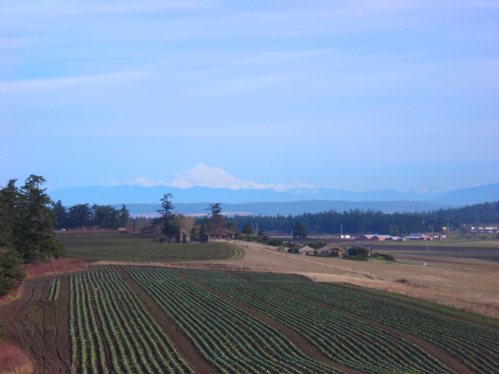 Mt. Baker and farmland