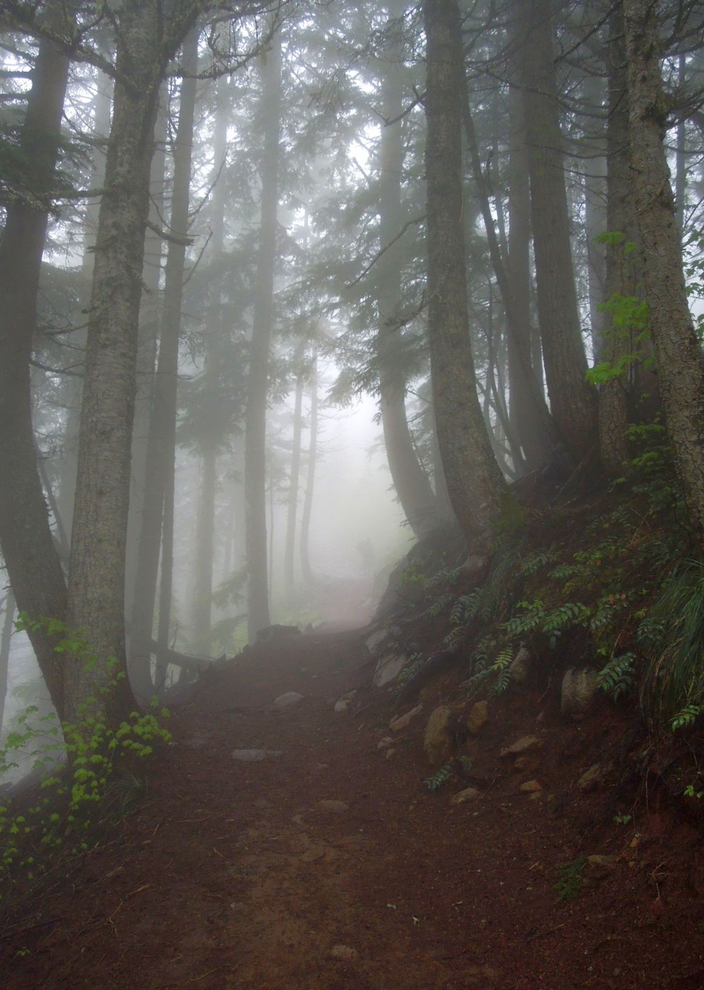 Trail conditions