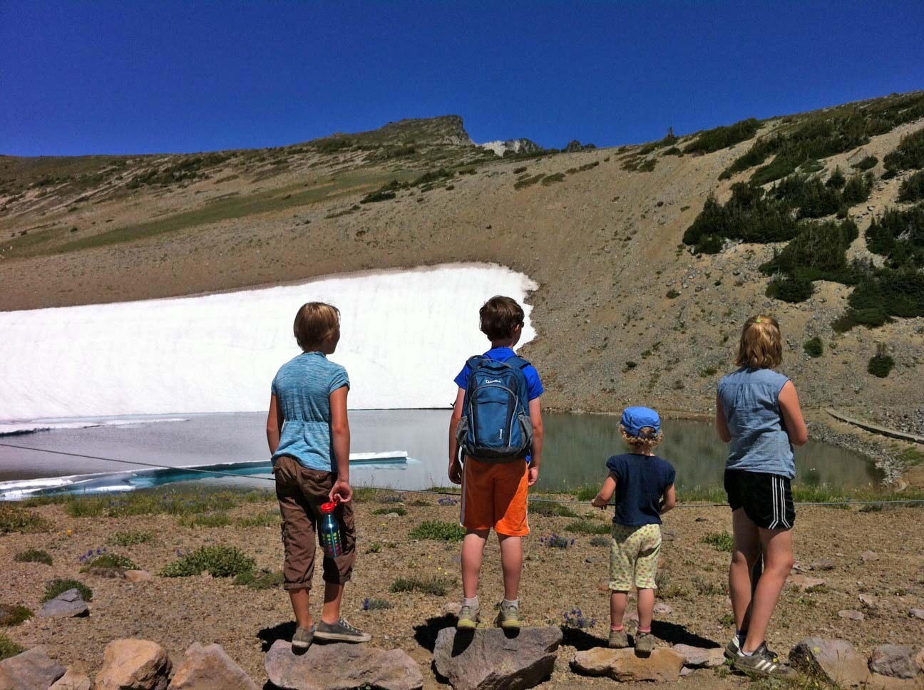 The kids lined up along the fence, admiring the iceberg at Frozen Lake.