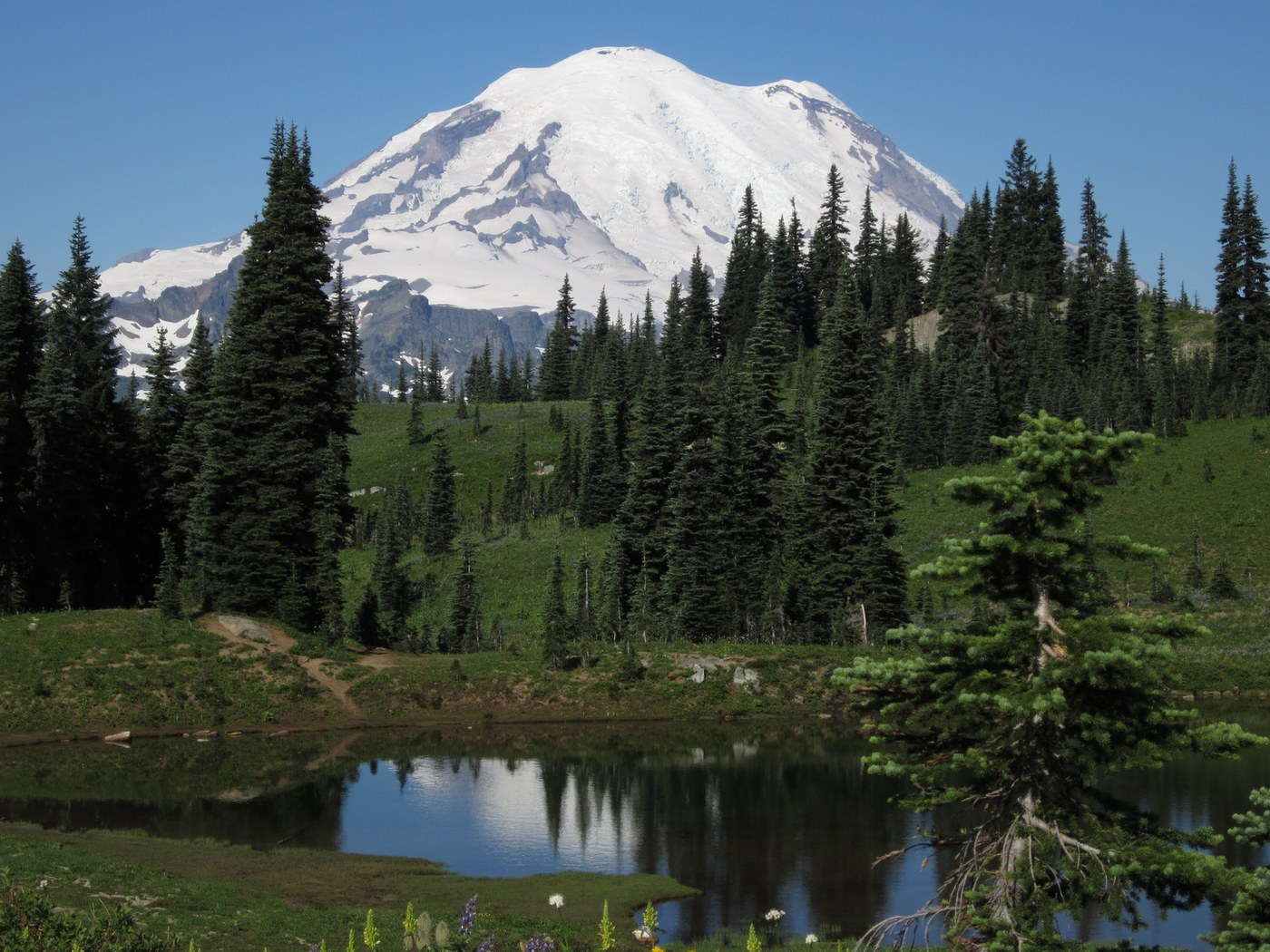 View of Mt. Rainier on the trail to Dewey Lake