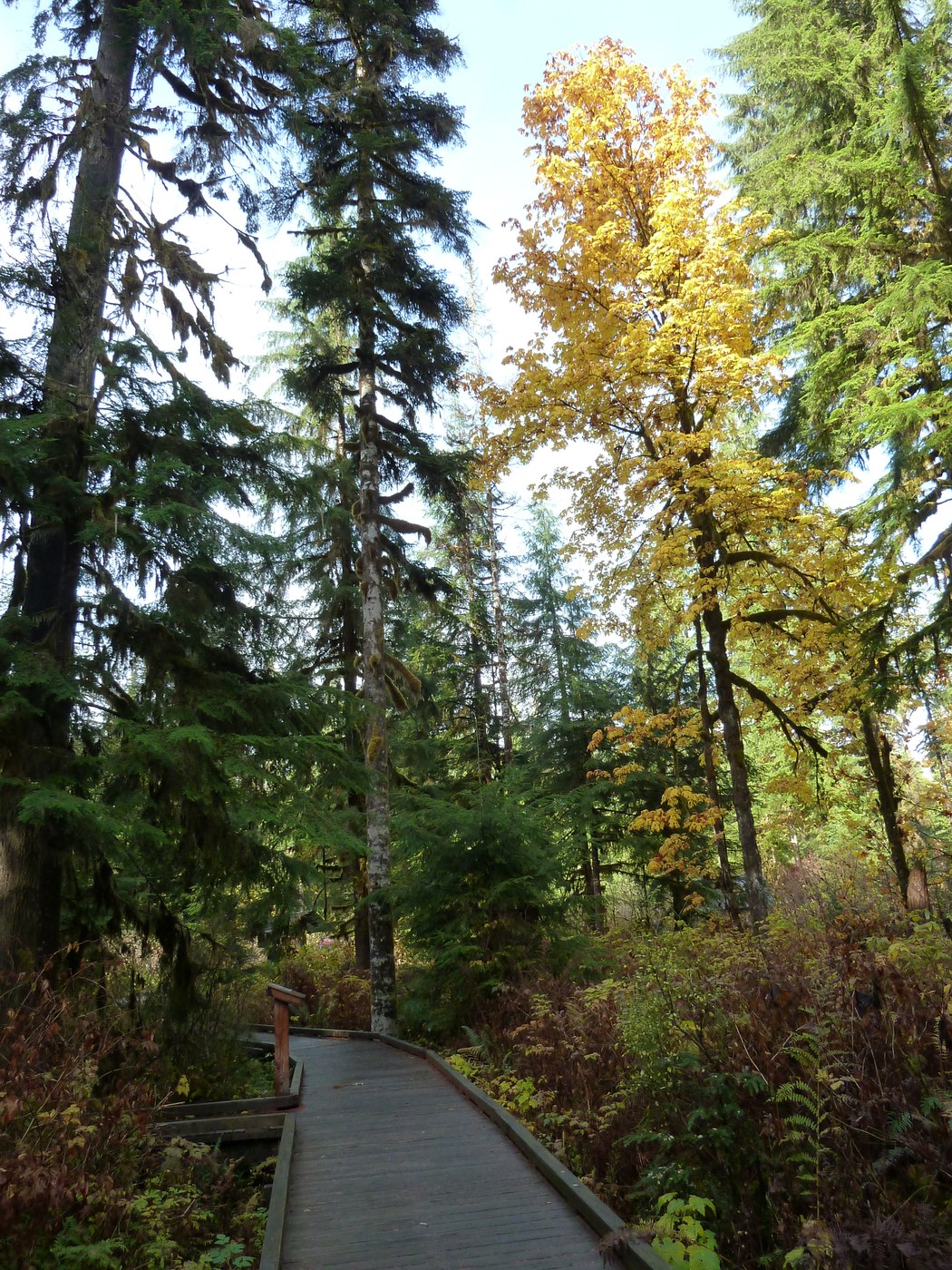 Some nice fall colors along the trail