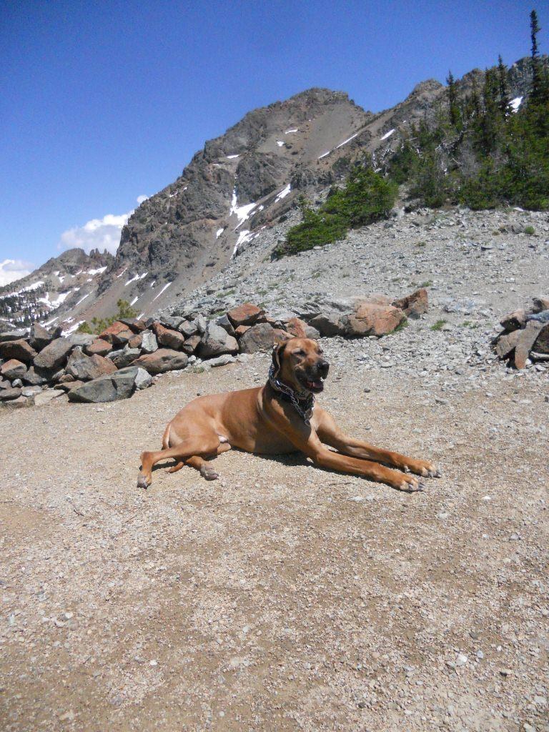 The Wonder Pup and Mt. Ingalls, atop the pass to Lake Ann. Photo by DestinationUp.
