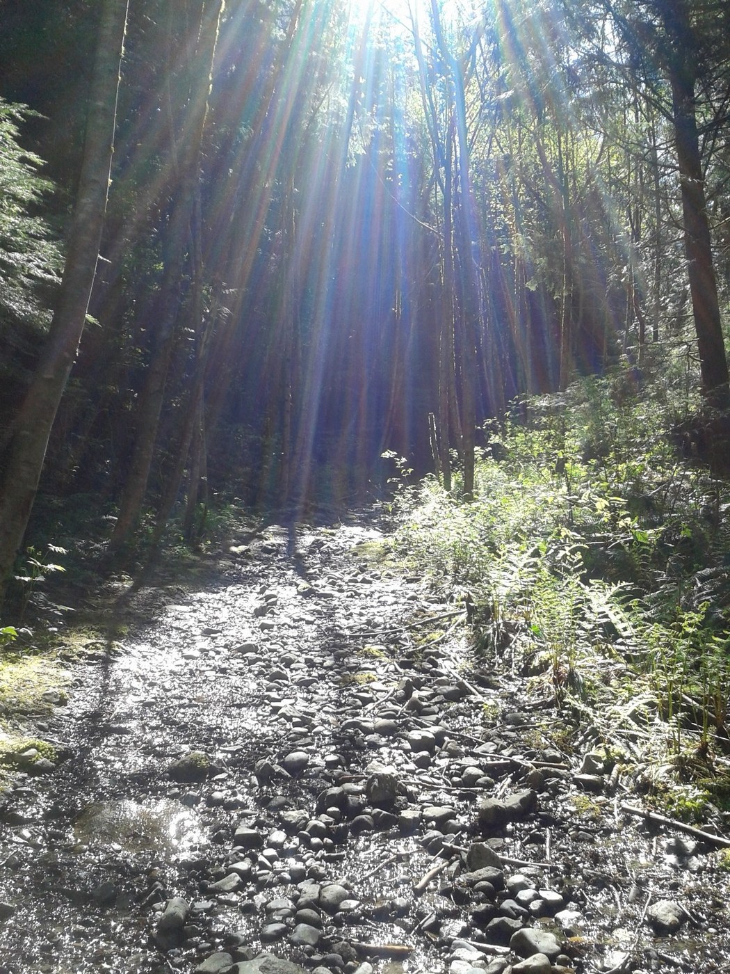 water on the trail