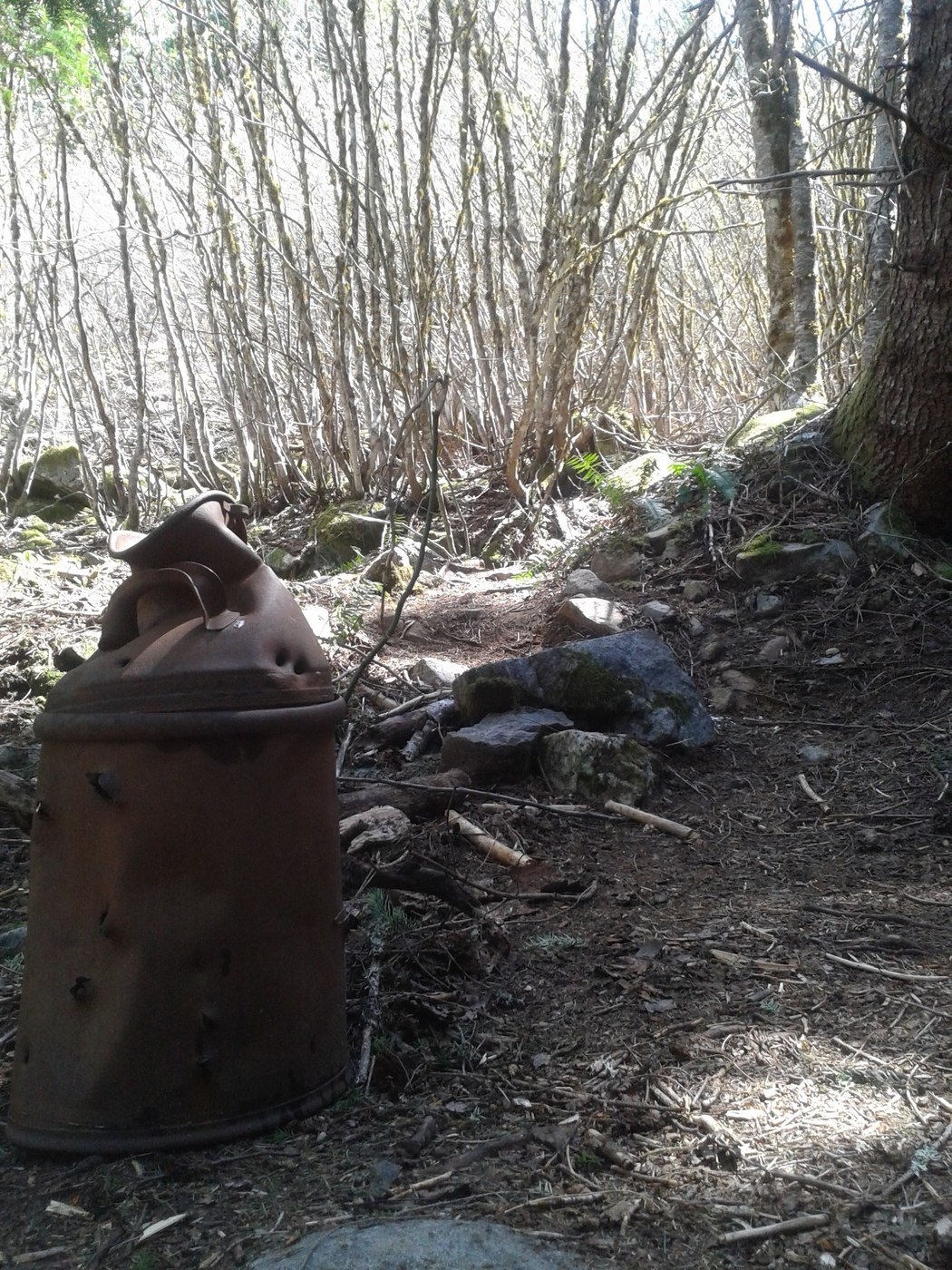 the rusty milk jug