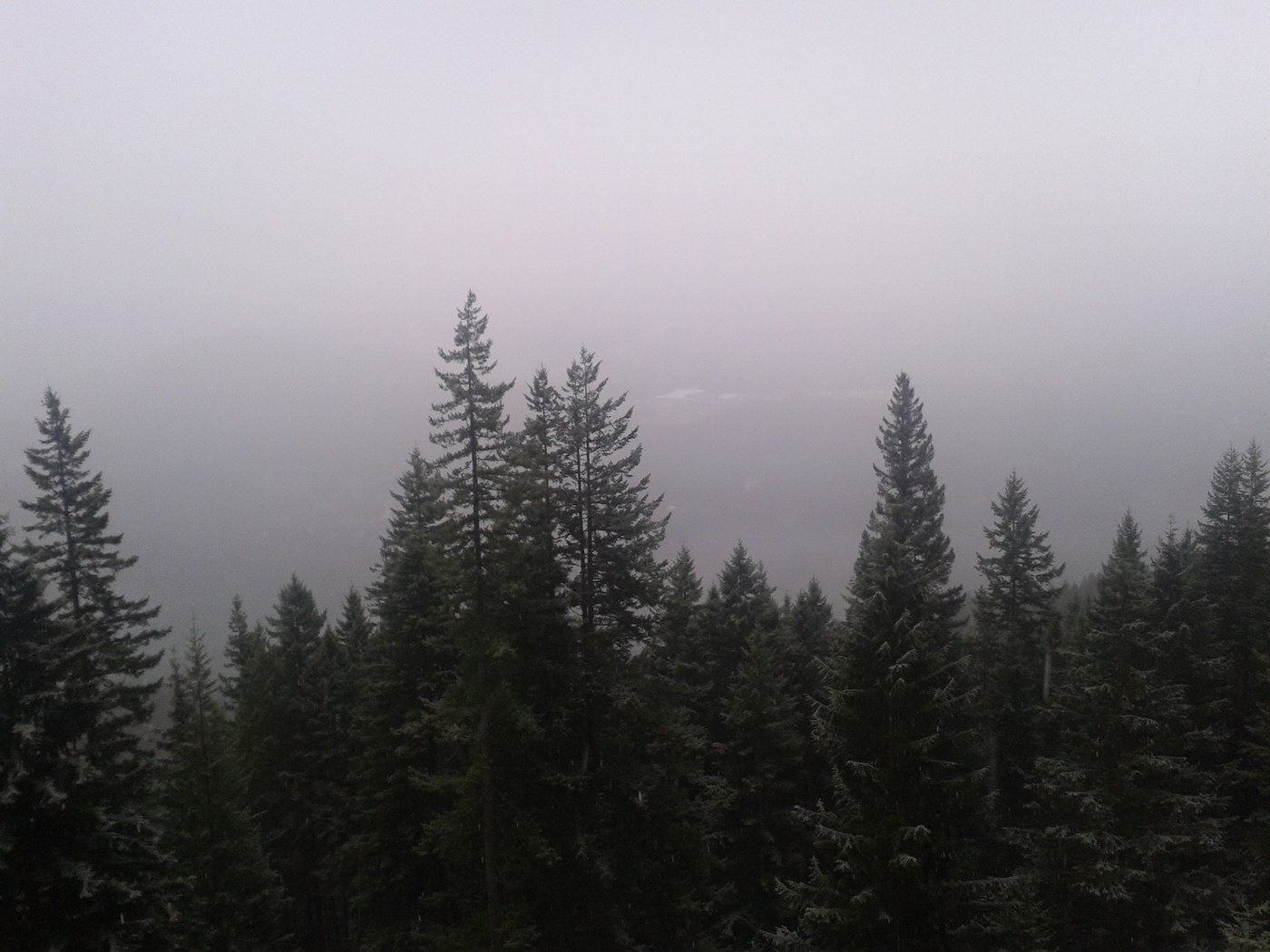 cloudy view at opening