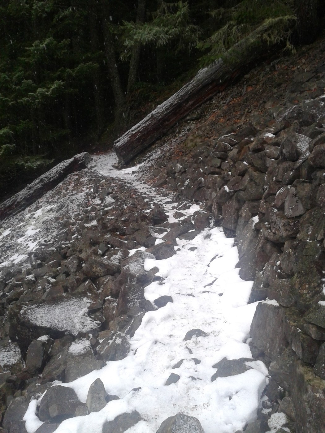 trail at opening