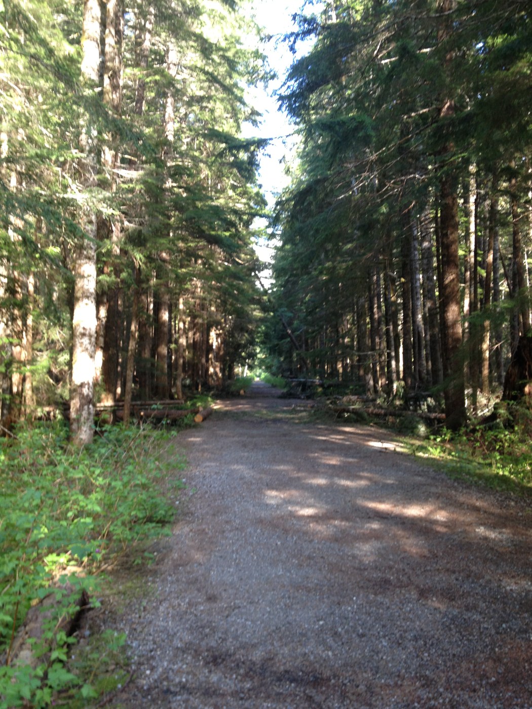One of the straightaways you'll come across on this hike.