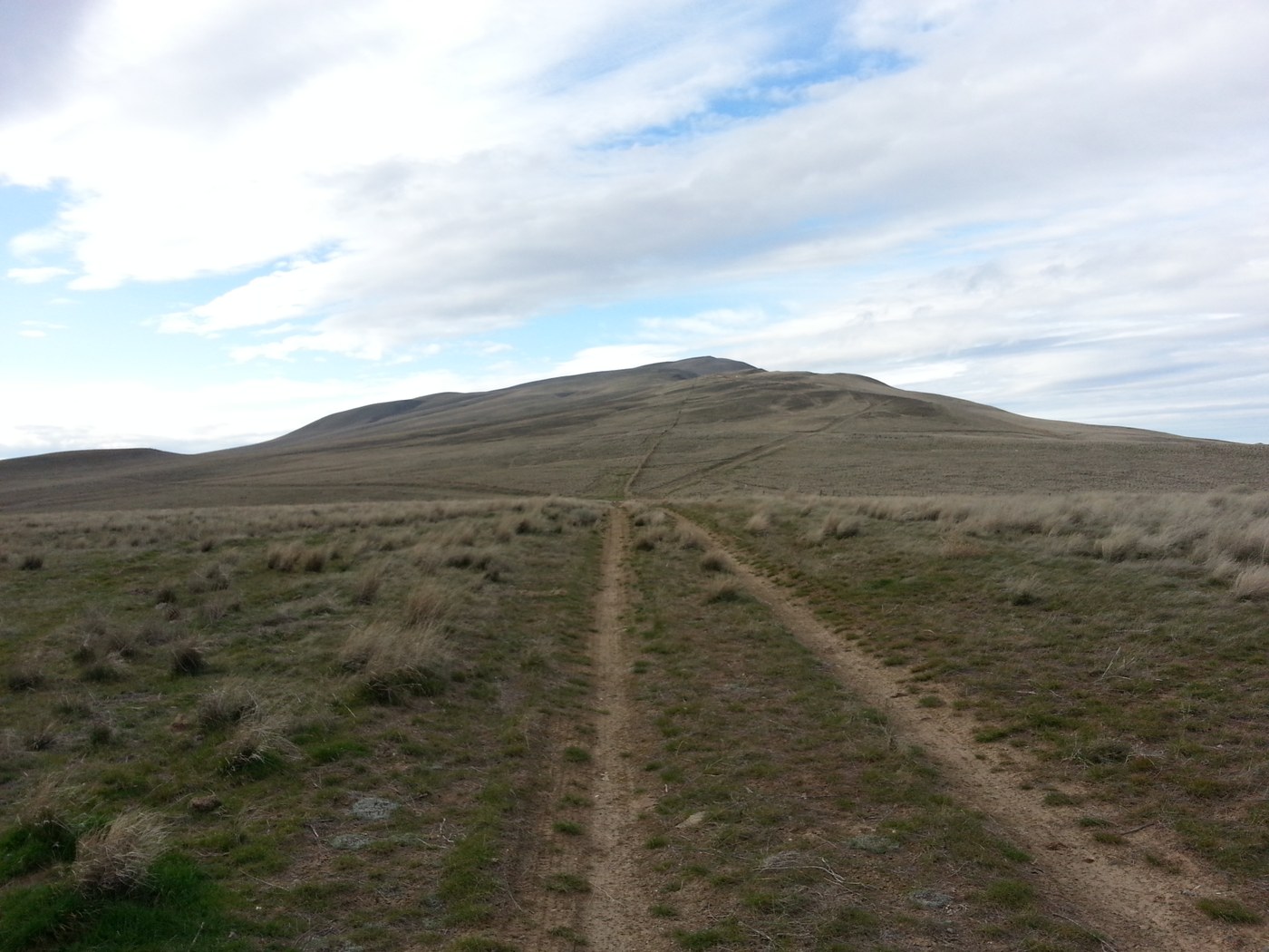 A look at Rattlesnake from the base a top the first small hill.