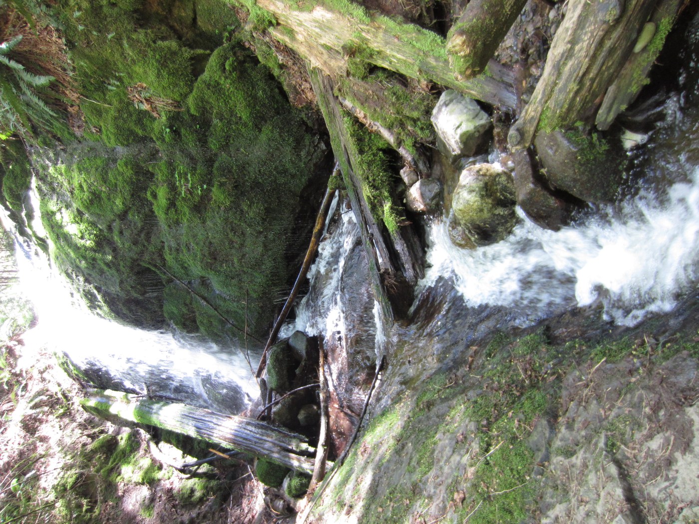 Coal Creek Falls