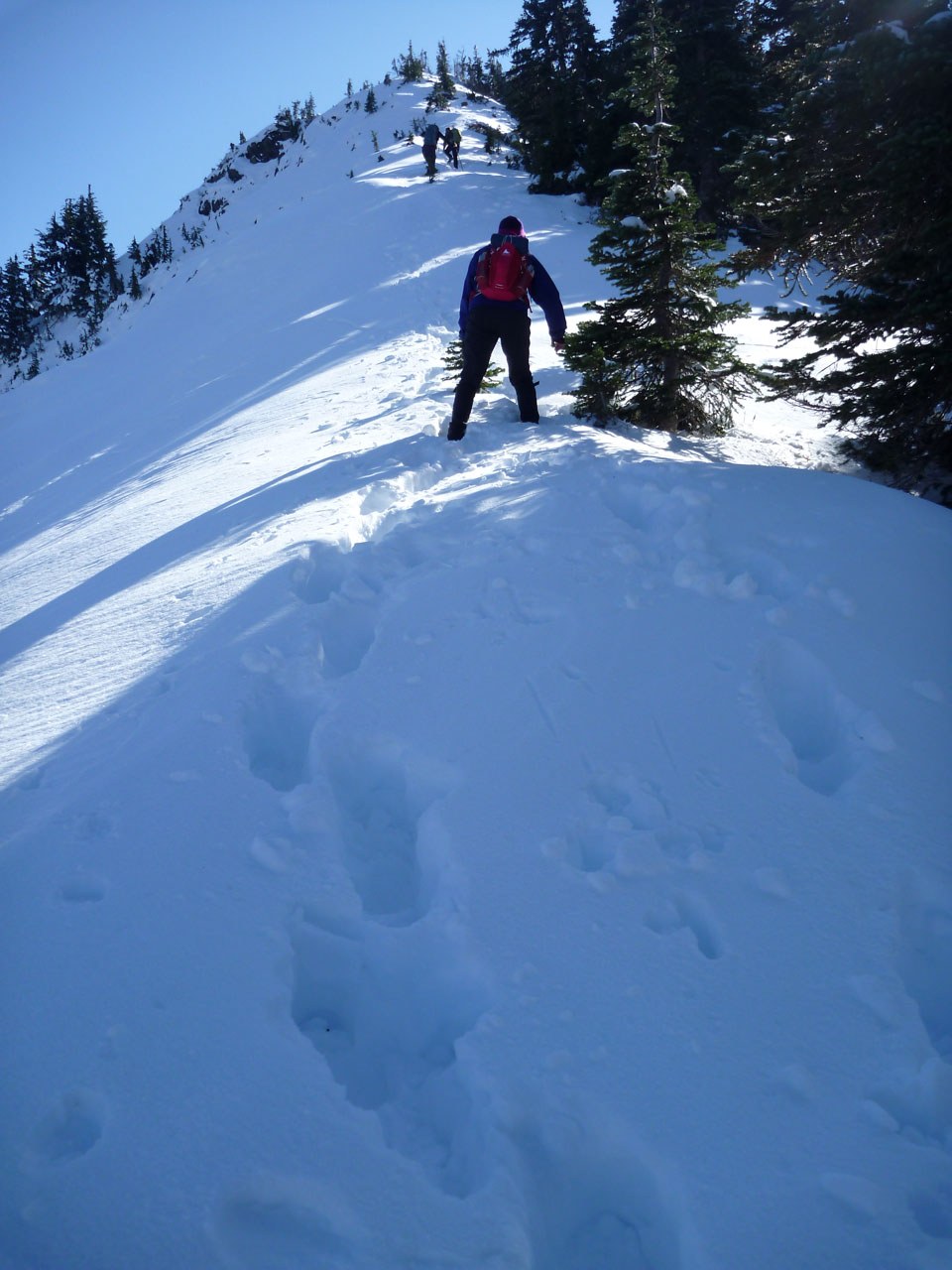 Walking in the footprints of giants
