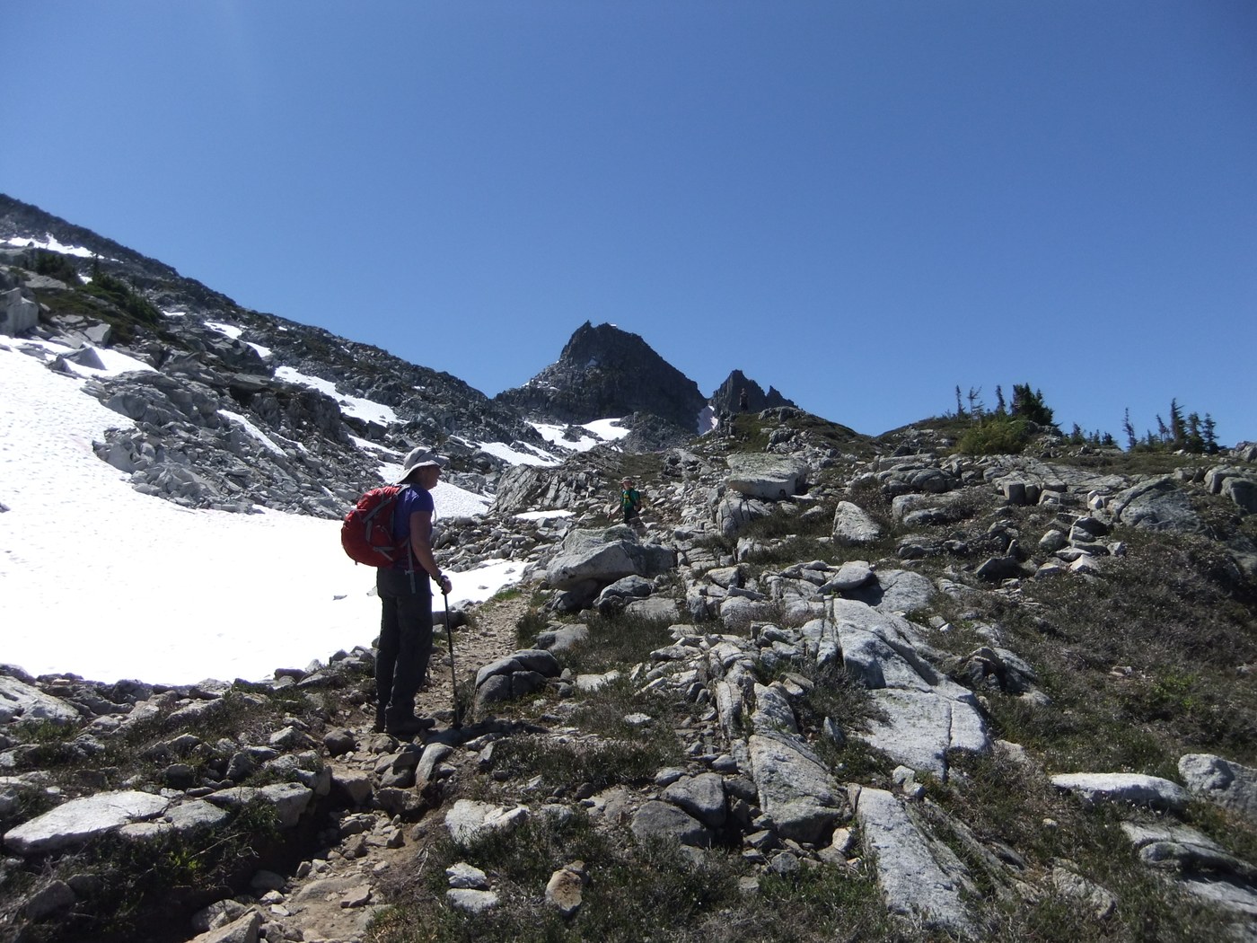 rock/boulder field, image by d. Klausner