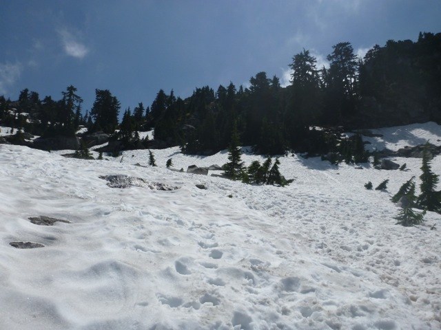 Lots of slippery snow!