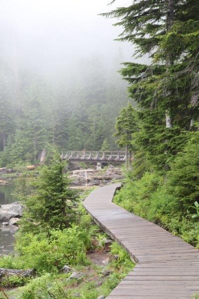 Looking back at the bridge at Lake 22 Photo: Hannah Hurey