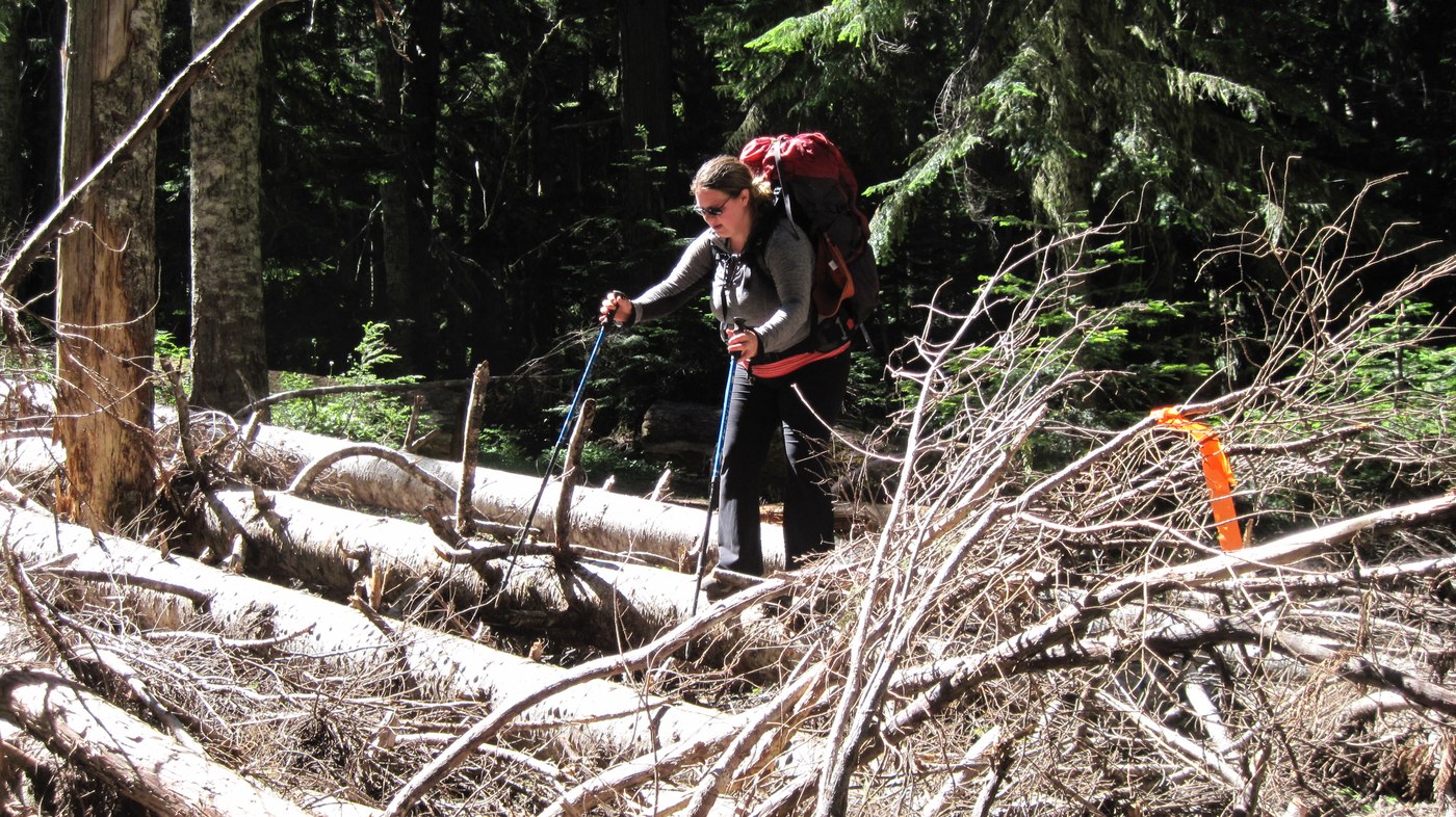 blow down section