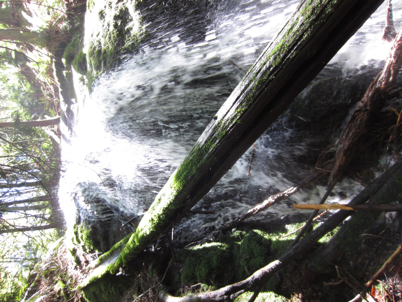 Coal Creek Falls