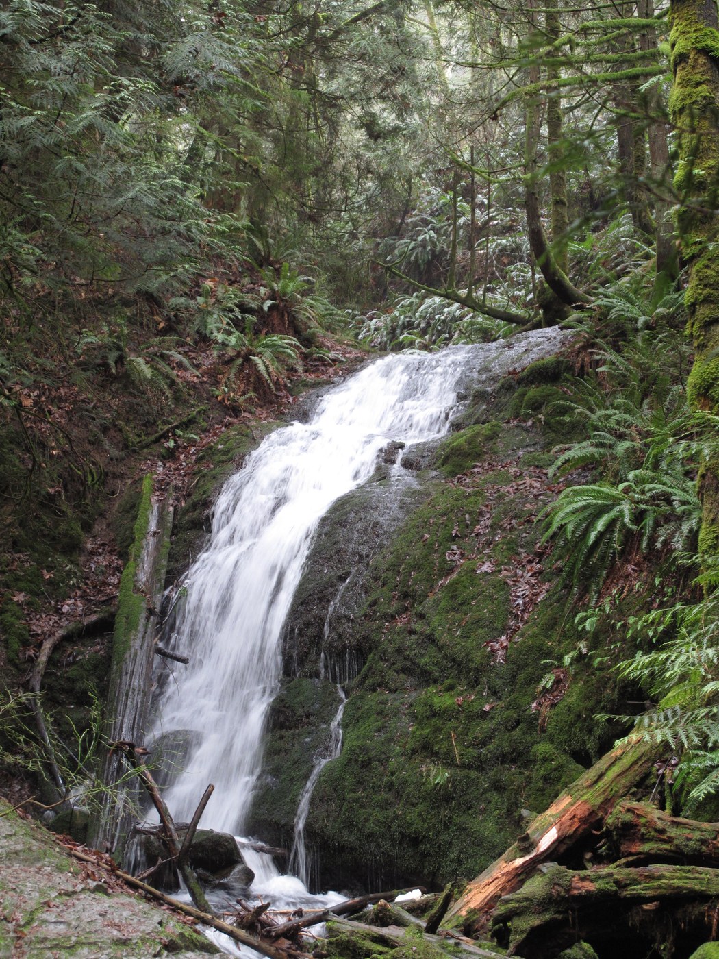 Coal Creek falls