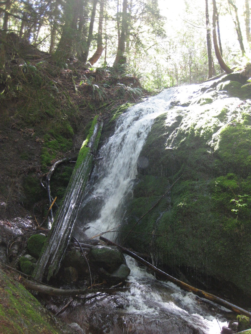 Coal Creek Falls
