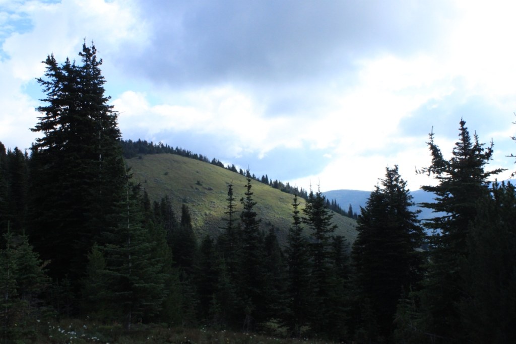 This is Wapaloosie Mountain, elevation 7,018'. The trail skirts the summit, but it's an easy scramble of less than 1/2-mile to the top.