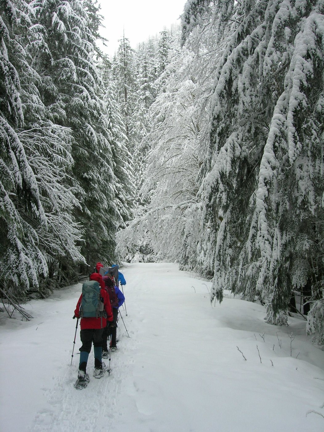 Breaking trail in the morning, heading up Deer Creek road towards Kelcema Lake.
