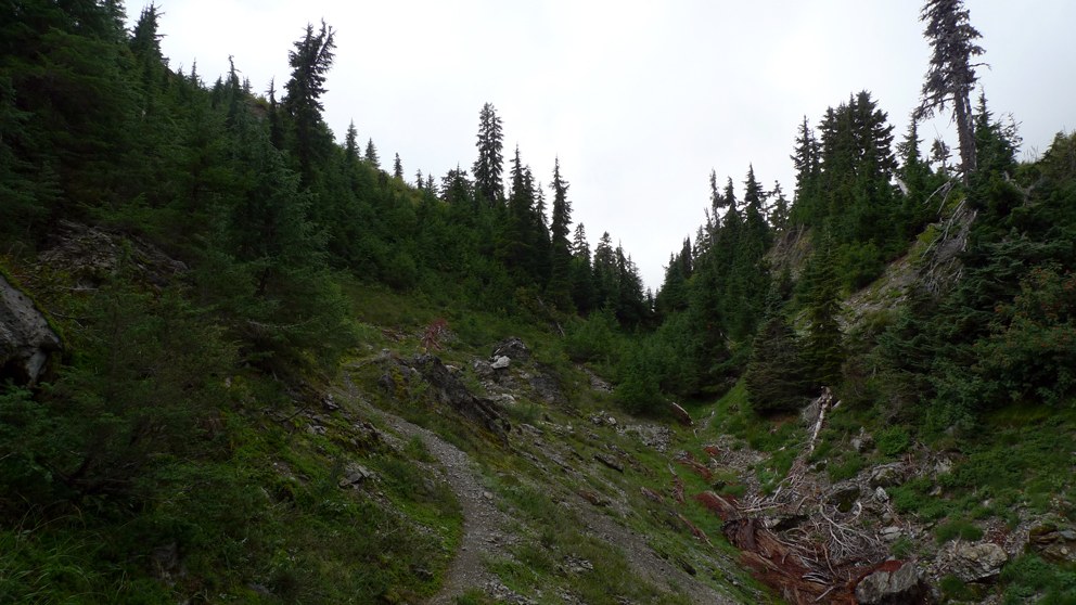 Six Ridge hiking by rnnrgrl