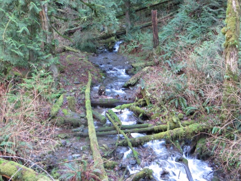 A larger creek along Poo Poo Point trail.