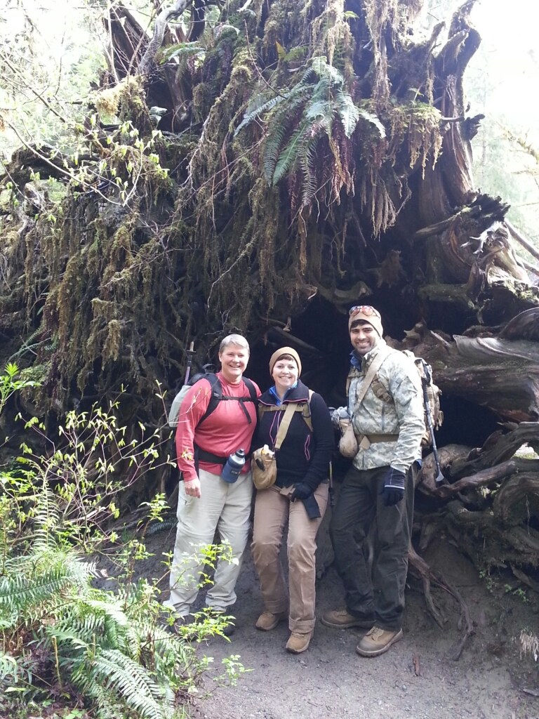 Photo op..huge uprooted cedar