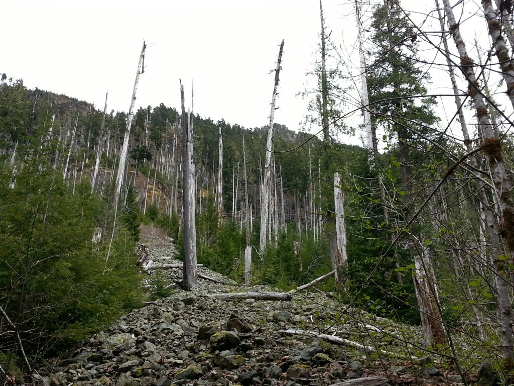 A previous fire and subsequent rock slide is a stark reminder...