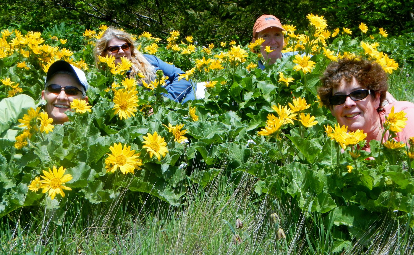 fun in the flowers