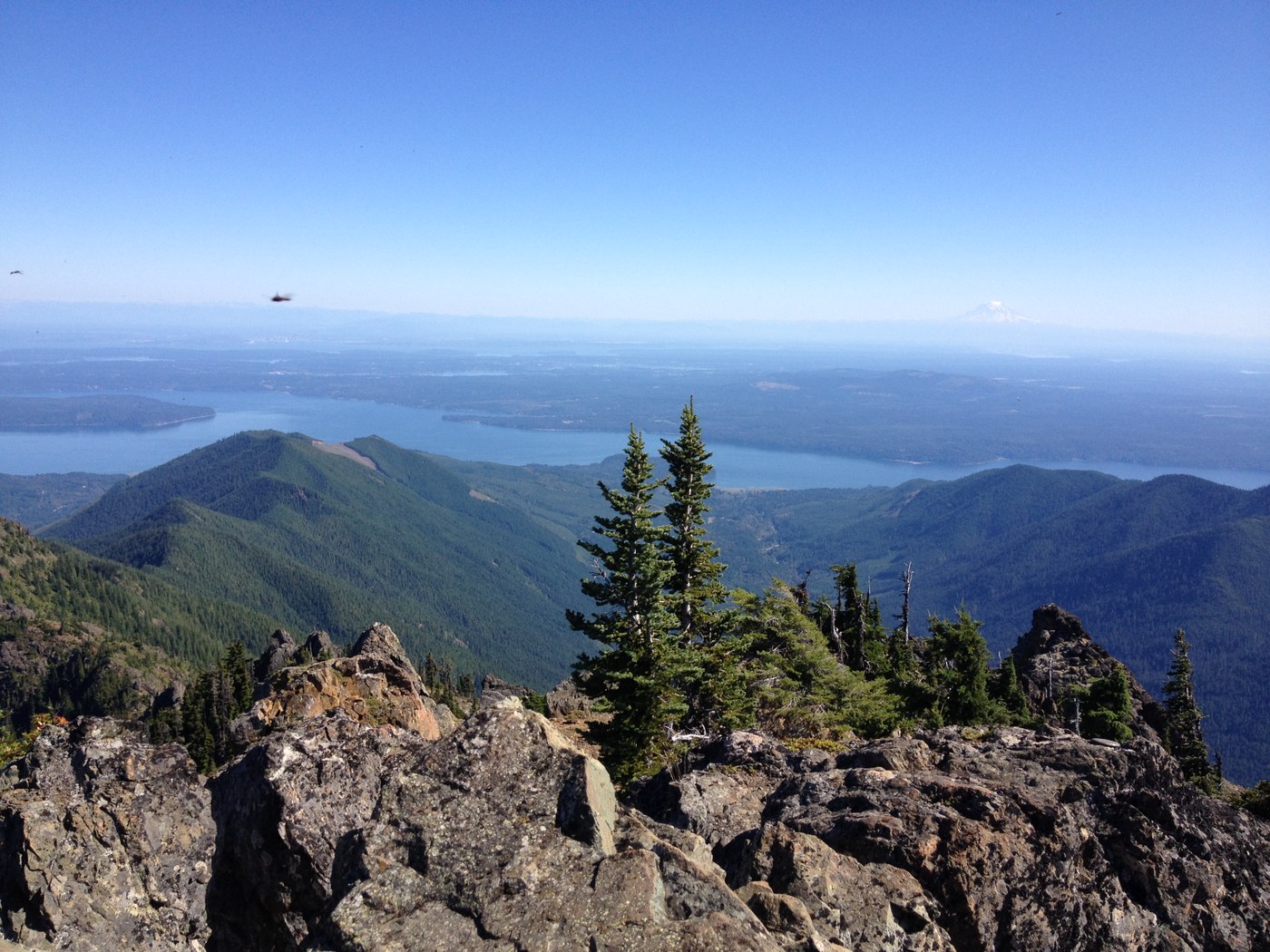 View from top includes Mt Rainier, Seattle, and lots of mountains; that helicopter thing is one of the trillions of flying (nonbiting) ants that were having an orgy on the summit