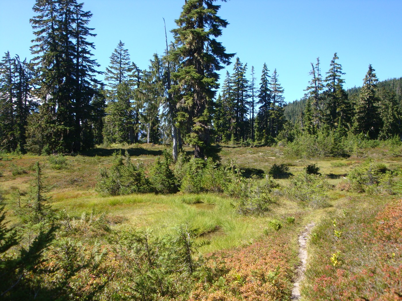 Mazama Park, Ridley Creek Trail