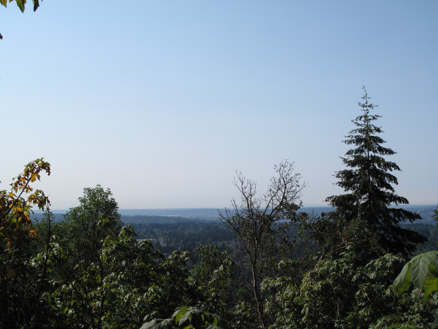 the view looking southwest off De Leo Wall toward Seatac Airport - awfully hazy today