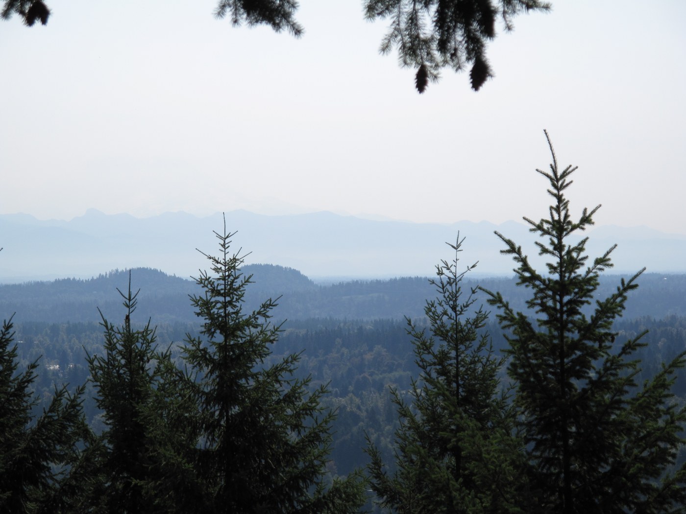 looking roughly southeast from De Leo Wall - of the two nobs left of center I believe the right one is Cedar Mountain just this side of Ravensdale