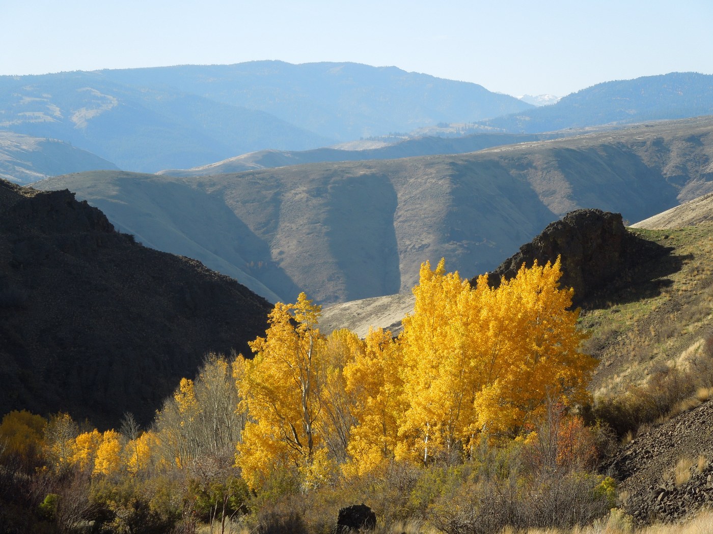 Looking over the aspen grove to the south
