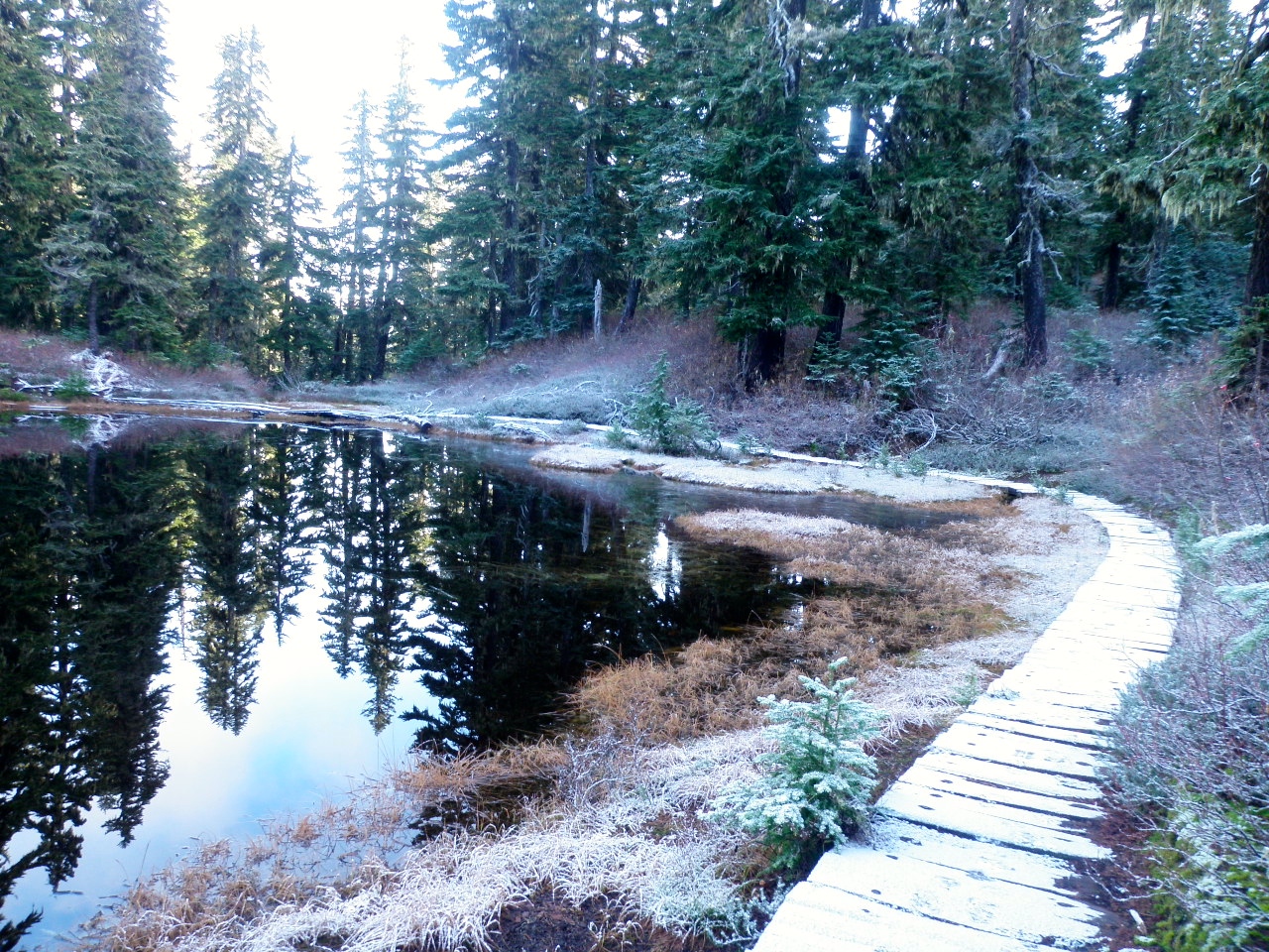 PassThe High Divide, Damfino Lakes Excelsior Peak