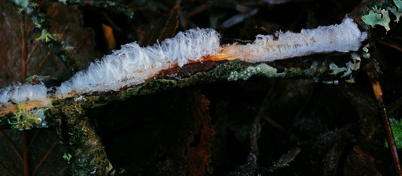Hair ice
