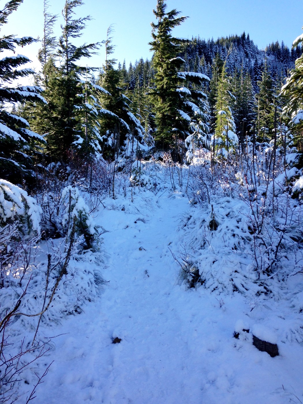Trail snow