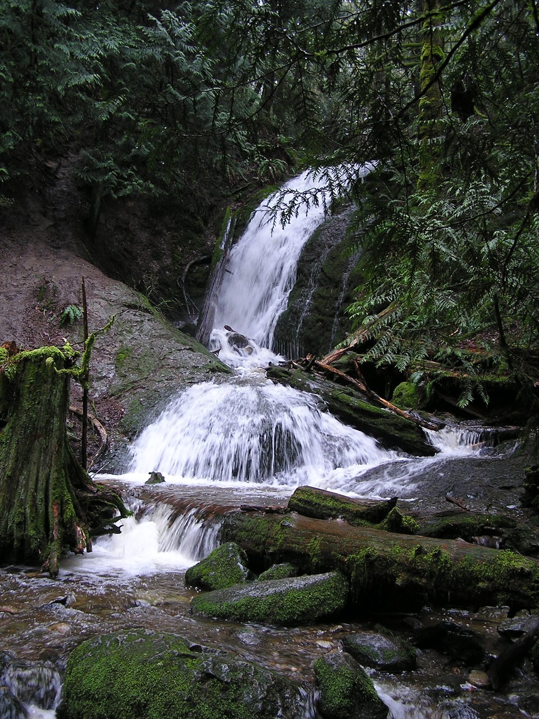 Coal Creek Falls, Alpine Art