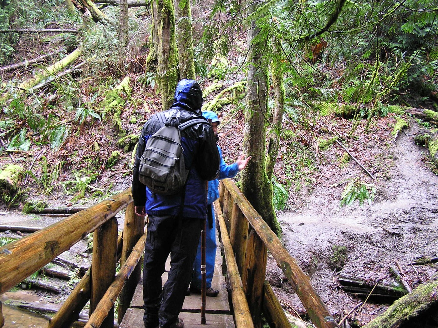 Paul and Jeff on a soggy day - bridge over Coal Creek, Alpine Art