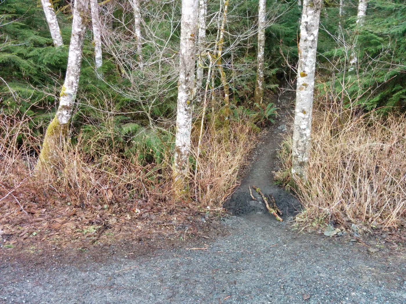 trail head