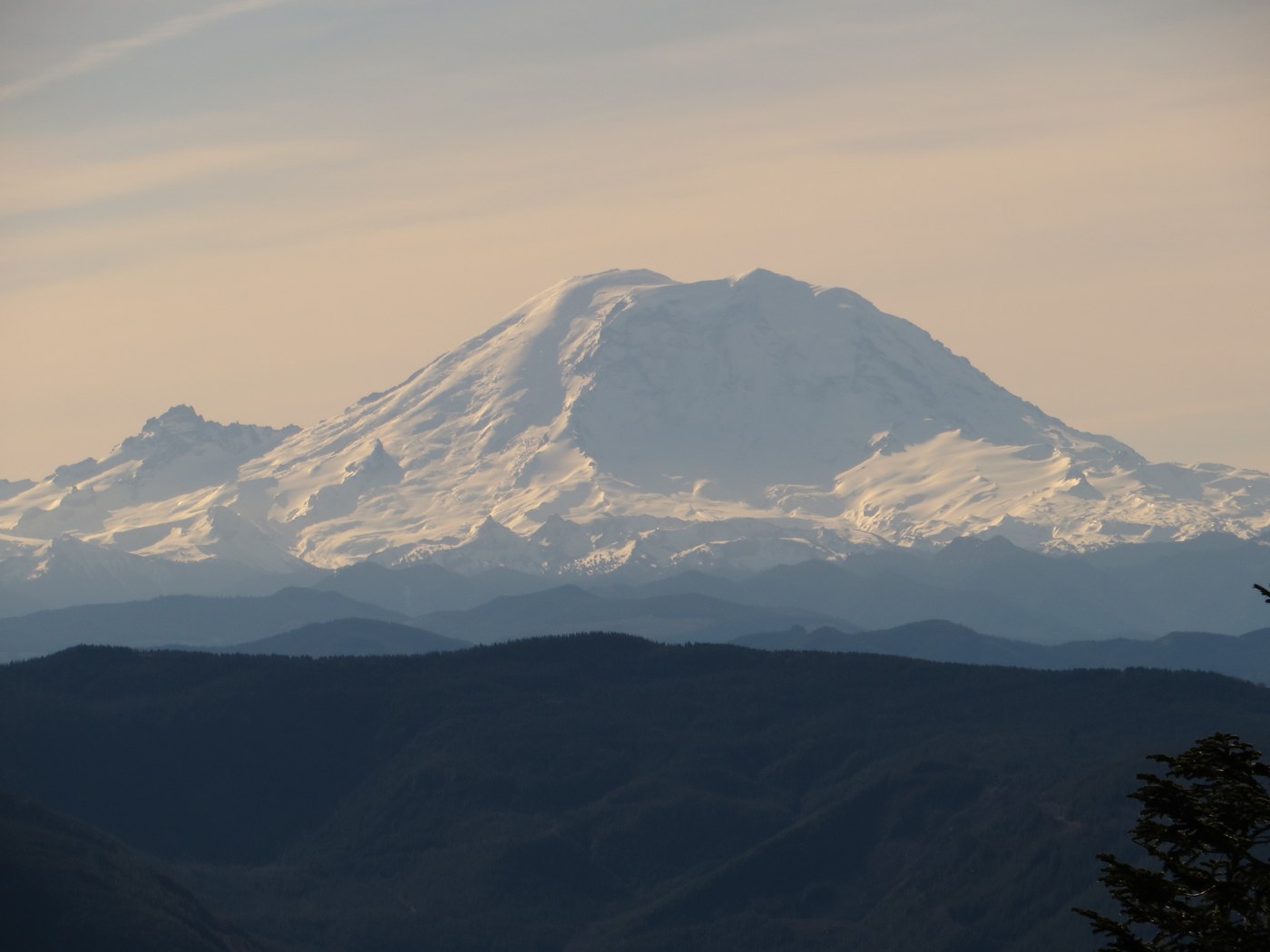 Mt. Rainier