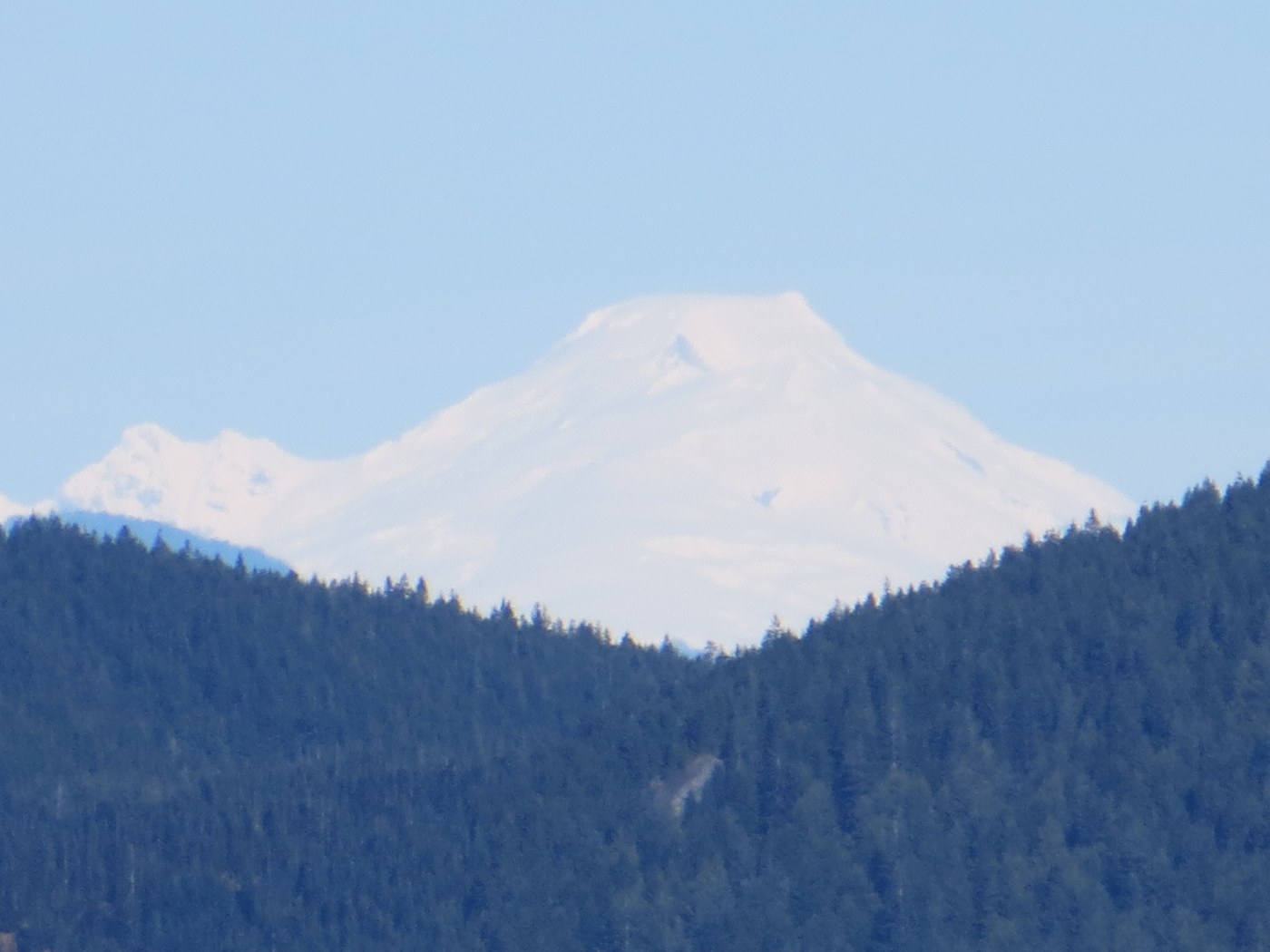 Mt. Baker