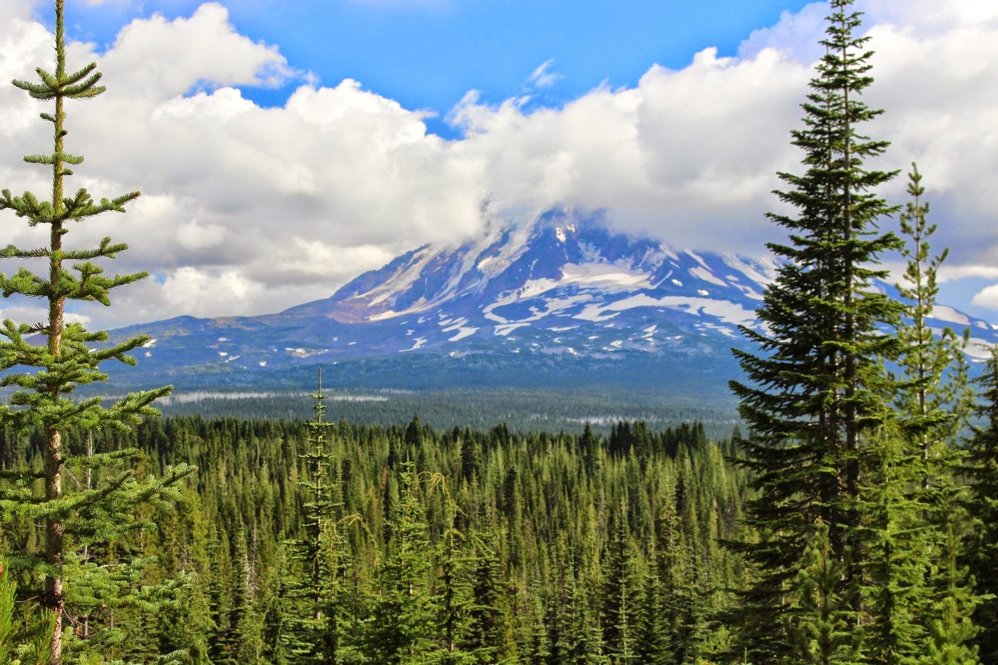 Mount Adams from Potato Hill